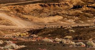 壹周游闻：中法联合声明中提及游戏合作；腾讯网易均有产品停运